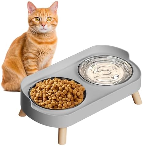 Elevated Cat Bowl, Raised Cat Food and Water Bowl Set for Indoor Cats, Splash Proof with 2 Stainless Steel Pet Food Bowls for Cats and Puppies, Whisker Fatigue and Dishwasher Safe - Grey