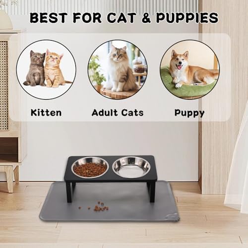 Summark Upgraded Elevated Cat Bowls with Food Mat,15°Tilted Stand Anti Vomiting Raised Cat Dishes for Food and Water,2 Stainless Steel Bowls for Cats and Puppy（Black）