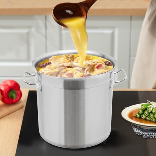 18 Quart Stainless Steel Stockpot Commercial Large Stock Pot with Lid & Handles, Cookware Soup Pot for Boiling Cooking Stew, Induction Cooking Pot for Home Restaurant Hotel (17L/18Qt)