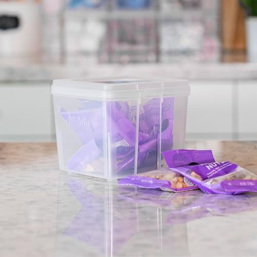 IRIS USA Flip Top Storage Containers |Made in USA| Small (10-Pack) - Clear