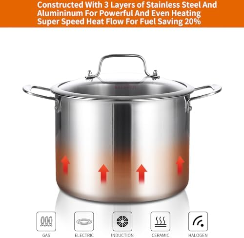 DELARLO Tri-ply Stainless Steel 8 Quart Heavy Duty Induction Stock Pot