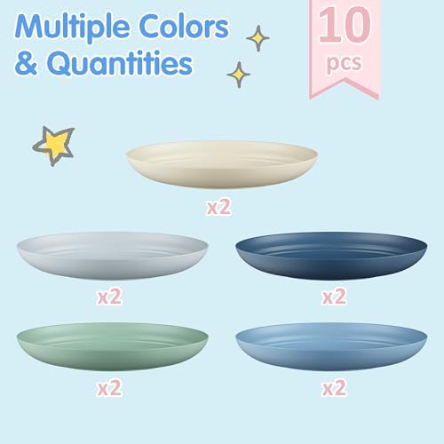 Quatish 10 PCS Reusable Plastic Plates, Dinner Plate, Plate Set, Blue
