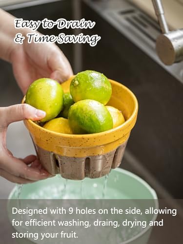Gomakren Ceramic Berry Bowl Set of 2 Harvest Fruit Basket, Yellow + Brown