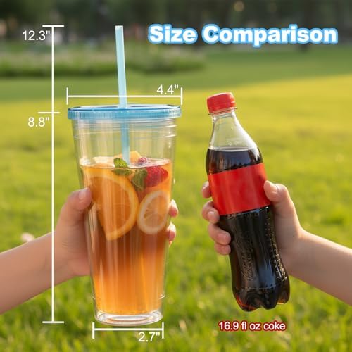 Zukro Clear Double Wall Plastic Tumbler with Lid and Straw 32 oz, 2 Pack