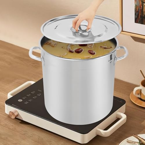 35 Quart 304 Stainless Steel Stockpot Commercial Large Stock Pot with Lid & Handles, Cookware Soup Pot for Boiling Cooking Stew, Induction Cooking Pot for Home Restaurant Hotel (33L/35Qt)
