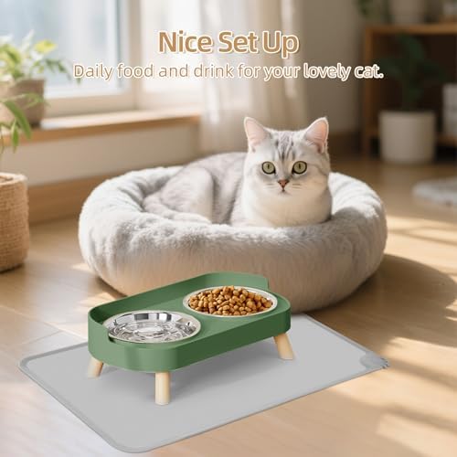Elevated Cat Bowl with Food Mat, Raised Cat Food and Water Bowl Set for Indoor Cats, Splash Proof with 2 Stainless Steel Pet Food Bowls for Cats and Puppies,Whisker Fatigue and Dishwasher Safe (Green)