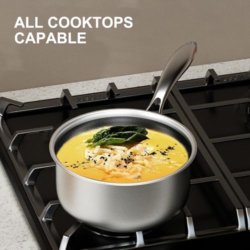 COOKER KING Stainless Steel Saucepan with Lid - 3 Quart Small Cooking Pot