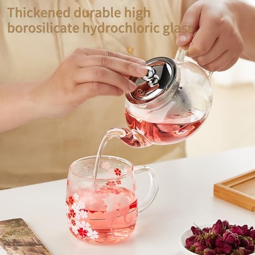 DOPUDO Small Glass Teapot with Infuser, 18 oz 530ml Borosilicate Tea Kettle