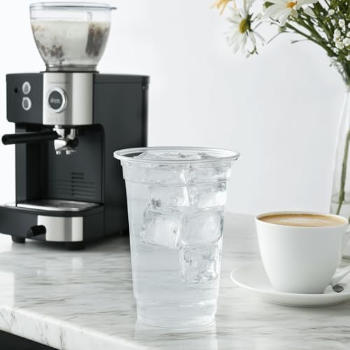 TashiBox plastic cups [20 oz 100cups],Clear Crystal disposable plastic cups,smoothie cup