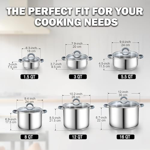 Cook N Home Basics 5.5 Quart Stainless Steel Stock Pot with Lid, Cooking Pot for Pasta, Soup, Stay-Cool Silicone Handle, Stockpot with Even Heating, Oven Safe, Cookware for Canning, Boiling, Simmer