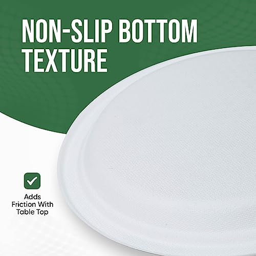 TaidMiao 9 inch Paper Plate Heavy Duty Disposable,100% Compostable,100 Pack
