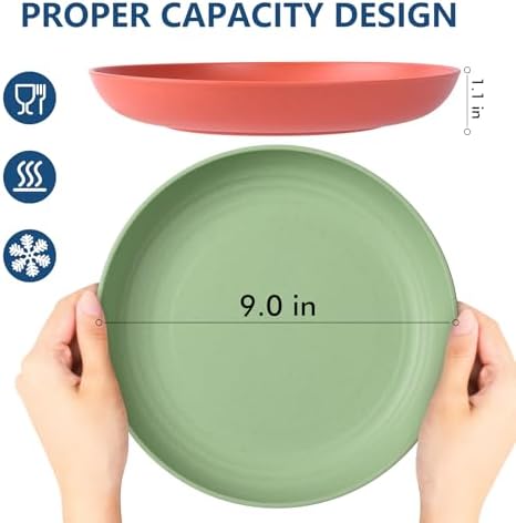 HOTEC 8-Pack 9inch Deep Dinner Plastic Plates, Multicolor