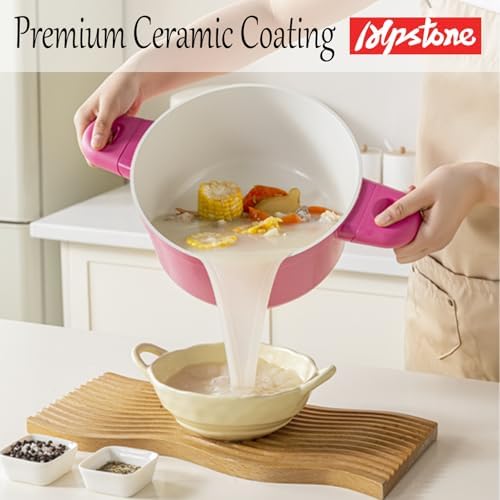 Alpstone 5QT Nonstick Stock Pot with Lid, Pink