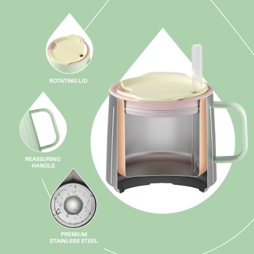 Ideus 14 oz Insulated Coffee Mug with Lid and Straw (Mint Green, FUJI NOVA)