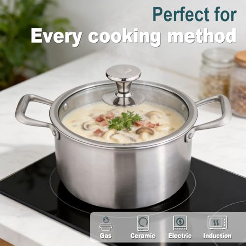 Titanium Soup Pot 6 Quart with Lid, Tri-Ply Induction Stock Pot