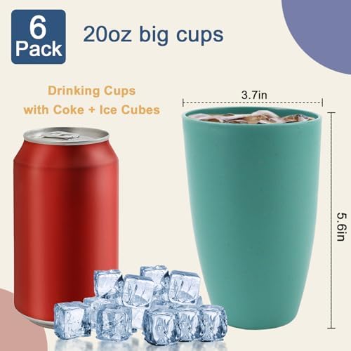20 OZ Wheat Straw Cups, Large Plastic Cups Set of 6 (Multicolor)