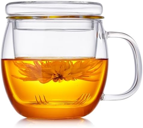 DOPUDO Glass Tea Cup with Infuser and Lid, 17oz/500ml Large Borosilicate Teacup for Loose Leaf Tea, Blooming Tea