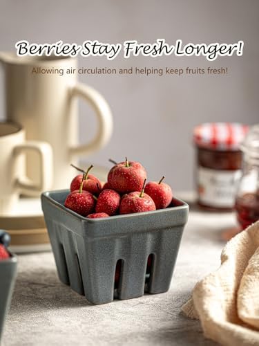 Gomakren Ceramic Berry Bowl Set of 2 Square Strawberry Basket, Slate Blue