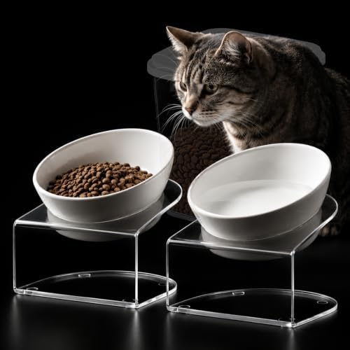 LivLab Mker Elevated Cat Bowls, Tilted Melamine, White, 2 Pack