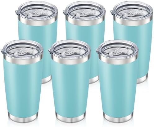20oz Tumbler Bulk with Lid Stainless Steel Tumblers, 6 Pack