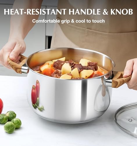 KOCH SYSTEME CS 4 Quart Stainless Steel Pot with Lid, Stock Pot for Soup Pasta Sauce and Vegetables, Tri-Ply Bottom Cooking Pot, Induction Pot for Gas Electric Glass Stoves, Dishwasher Safe
