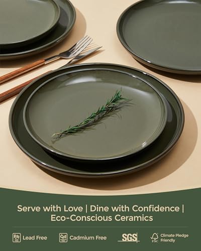 Pokini Stoneware Dinnerware Sets for 4, 12pcs Plates and Bowls Sets Dishes
