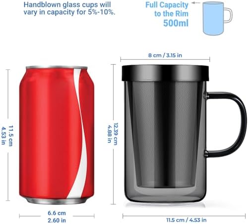 ecooe 16.9oz Glass Tea Cup with Infuser and Lid 430ml(Use Capacity), Black