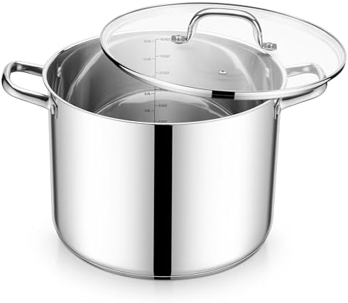 E-far 16 Quart Stainless Steel Pot, Induction Stockpot with Glass Lid