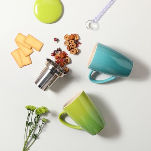 Sweejar Porcelain Tea Infuser Mug with Lid, 16 oz Teacup with Strainers for Loose Leaf Tea, Microwave and Dishwasher Safe Coffee Mug(Wild Meadow)