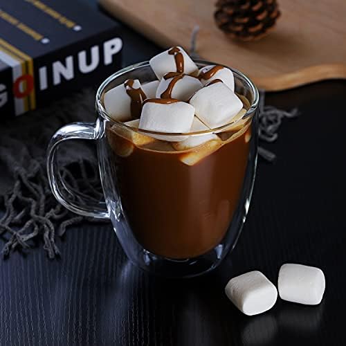 CNGLASS Large Double Wall Glass Coffee Mug 17 oz,Insulated Glass Coffee Cups with Handle,Set of 2
