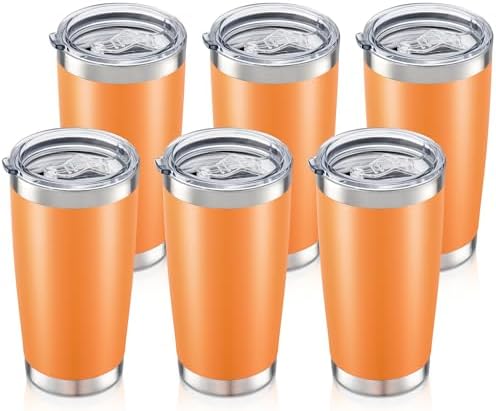 20oz Tumbler Bulk with Lid Stainless Steel Tumblers, 6 Pack