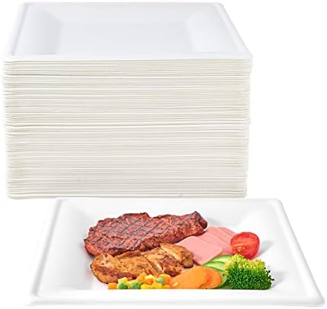 ECOLipak 150 Piecs Compostable Square Paper Plates, 10 inch, White
