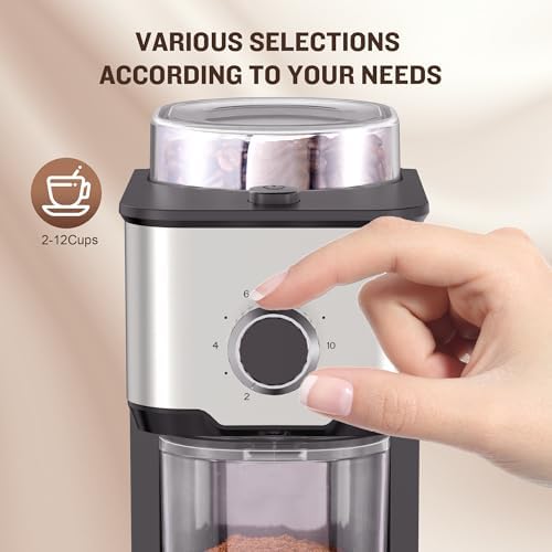 AYCHIRO Burr Coffee Grinder, Adjustable Coffee Bean Grinder Electric with 14 Grinding Settings,2-12 Cups for Espresso, Drip Coffee and French Press