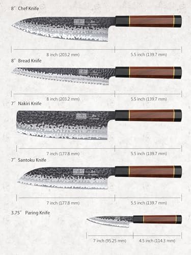 HOSHANHO 5 Pieces Knife Set, Japanese High Carbon Steel Kitchen Knife Sets