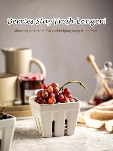Gomakren Ceramic Berry Bowl Set of 2 Square Strawberry Basket, Cream White