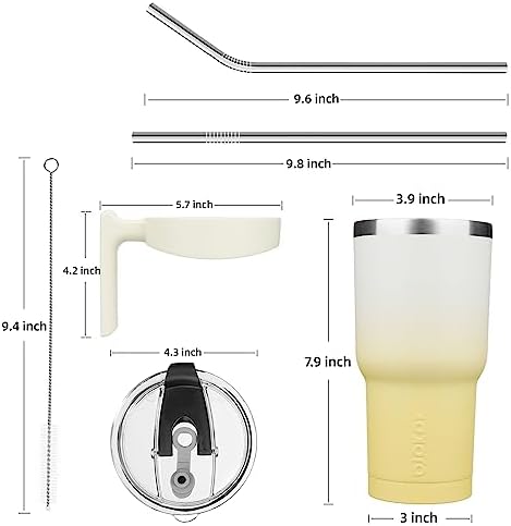 BJPKPK 30 oz Tumbler with Handle & Straw, Insulated Stainless Steel Mug