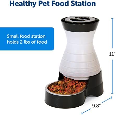 PetSafe Healthy Pet Food Station, 2 lb Gravity Feeder, Cats & Dogs, Small
