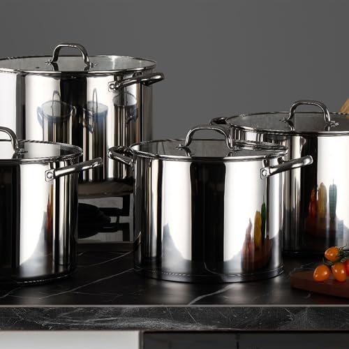 LIANYU Stainless Steel Large Stock Pot, 16 QT Heavy Stockpot with Glass Lid