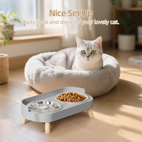 Elevated Cat Bowl, Raised Cat Food and Water Bowl Set for Indoor Cats, Splash Proof with 2 Stainless Steel Pet Food Bowls for Cats and Puppies, Whisker Fatigue and Dishwasher Safe - Grey