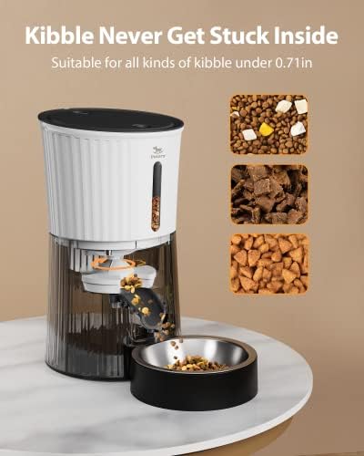 Petory Timed Automatic Cat Feeder - 4L Dry Food Dispenser for Cats and Dogs