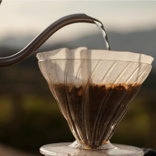 Hario V60 Paper Coffee Filter, Size 02, White, 100ct Box