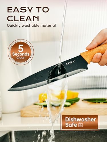 EUNA Knife Block Set, 19 PCS Kitchen Knife Set with Acrylic Block and Sharpener, German High-Carbon Stainless Steel Knife Sets with 6 Serrated Steak Knives, Bread Knife, Chef Knife, Dishwasher Safe