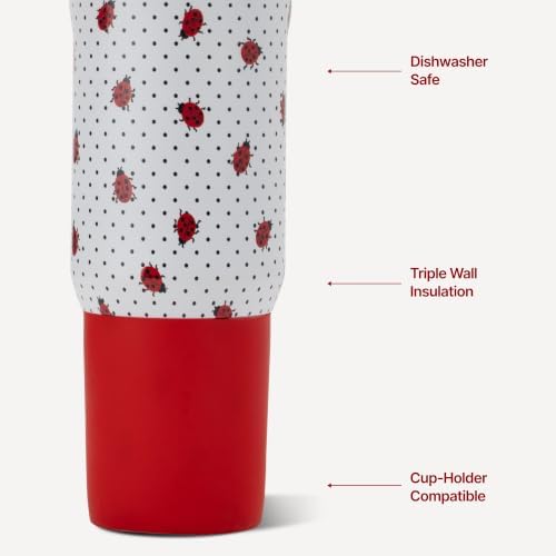 HydroJug Sport 20 oz Insulated Stainless Steel Water Bottle, Ladybug