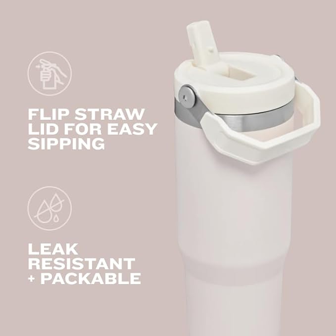 Stanley IceFlow Flip Straw Tumbler with Handle 30 oz | Twist On Lid and Flip Up Straw | Leak Resistant Water Bottle | Insulated Stainless Steel |BPA-Free | Polar