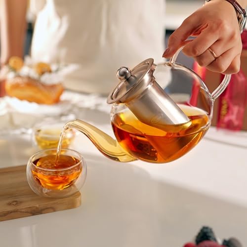 CNGLASS 600ml Glass Teapot with Removable Infuser,Clear Tea Kettle Stovetop Safe,Blooming and Loose Leaf Tea Maker