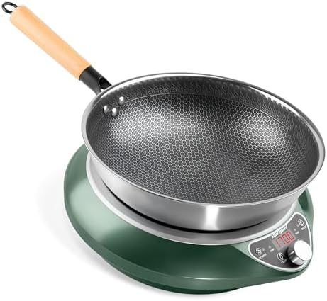 1700W Induction Wok, 120V Electric Wok Burner, Stainless Steel Wok