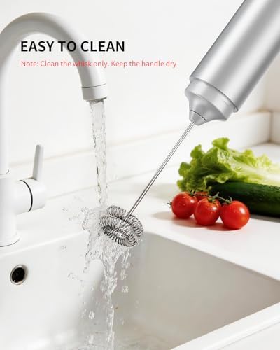 CIRCLE JOY Rechargeable Milk Frother Handheld, Dual Coil Whisk Head Electric Coffee Frother, Portable Hand Frother Wand Drink Mixer for Matcha Lattes Cappuccino, Kitchen Gifts, Silver