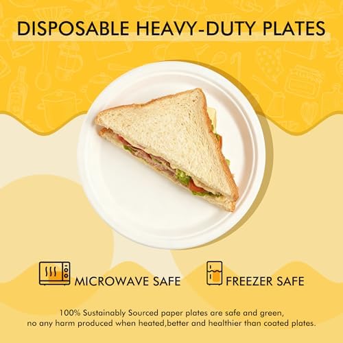 RACETOP Compostable Small Paper Plates 6 Inch [300 Pack]