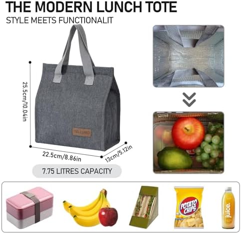 TELLUMO Insulated Lunch Bag for Men Women, Large Reusable Leakproof Lunch Box Container, Small Portable Thermal Snack Bag, Reusable Travel Office Work Beach Cooler Tote Bag for Adults, Grey