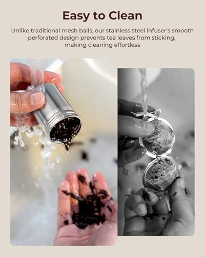2 Pack Reinmoson 304 Stainless Steel Tea Infuser for Loose Leaf Tea